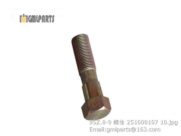 ,251600107 95Z.8-9 bolt lw800kn