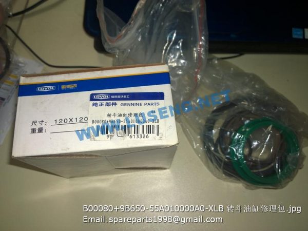 B00080+9B650-55A010000A0-XLB TILT CYLINDER REPAIR KITS - Image 2