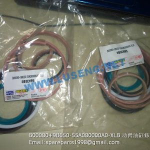 ,B00080+9B650-55A080000A0-XLB LIFT CYLINDER REPAIR KITS