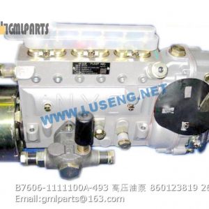 ,860123819 B7606-1111100A-493 FUEL INJECTION PUMP