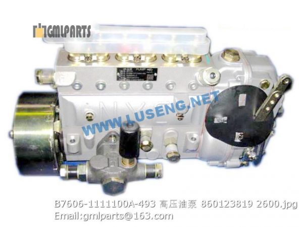 ,860123819 B7606-1111100A-493 FUEL INJECTION PUMP