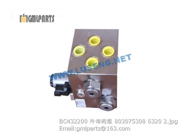 803075308 BC432200 VALVE - Image 2