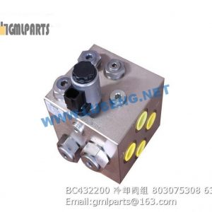 ,803075308 BC432200 VALVE