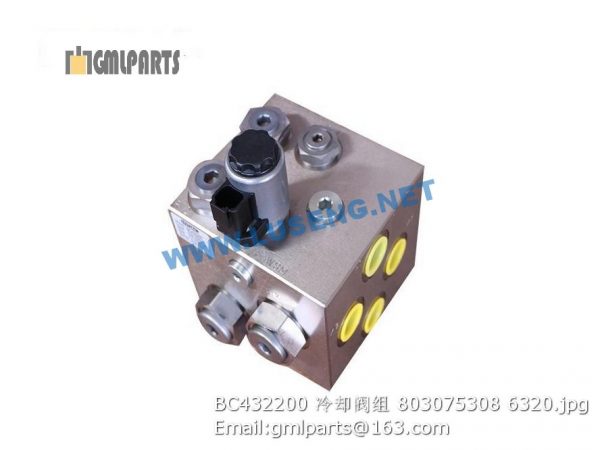 ,803075308 BC432200 VALVE