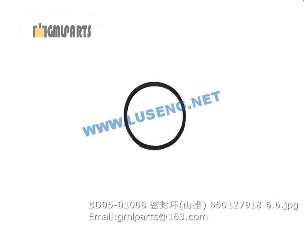 ,860127918 BD05-01008 SEAL RING