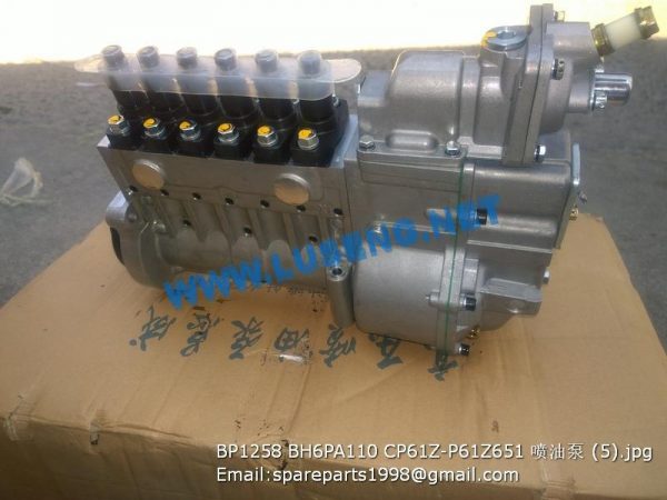 BP1258 BH6PA110 CP61Z-P61Z651 W014206440 injection pump lonbeng shangchai - Image 2