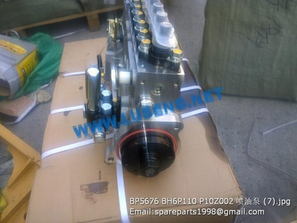 BP5676 BH6P110 P10Z002 4110000186618 4110001003131 injection pump - Image 4