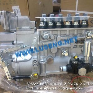 ,BP5B44 BH6P110 CP61Z-P61Z612 injection pump 4110001005486 4110000565197