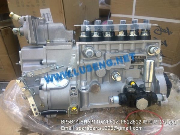 ,BP5B44 BH6P110 CP61Z-P61Z612 injection pump 4110001005486 4110000565197