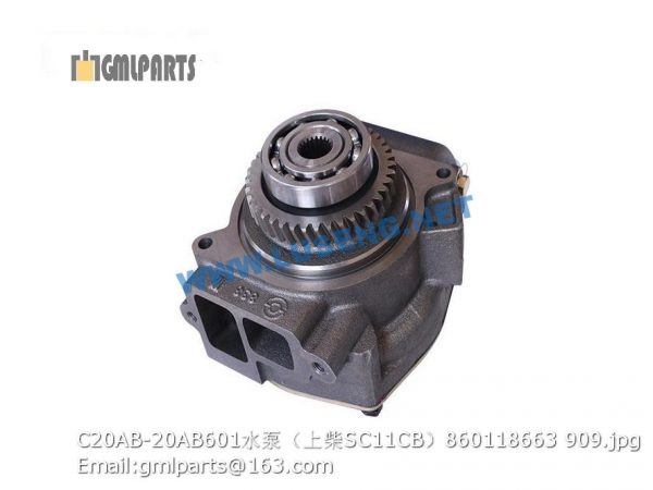 860118663 C20AB-20AB601 WATER PUMP - Image 2