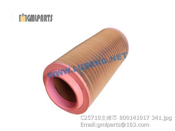 ,800141017 C25710 AIR FILTER