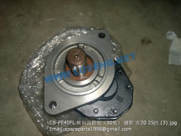 CB-FE40FL gear pump z=20 z=25 shantui sl30w - Image 2