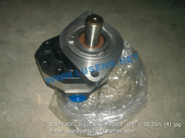 CB-FE40FL gear pump z=20 z=25 shantui sl30w - Image 3
