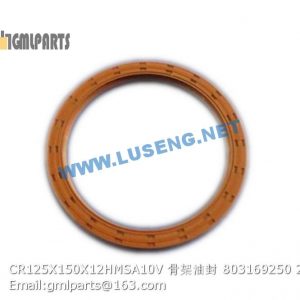 ,803169250 CR125X150X12HMSA10V OIL SEAL