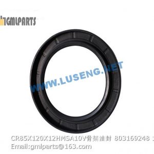 ,803169248 CR85X120X12HMSA10V Oil Seal