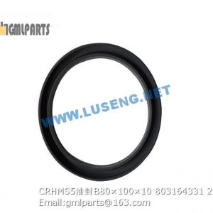 ,803164331 CRHMS5 OIL SEAL B80×100×10