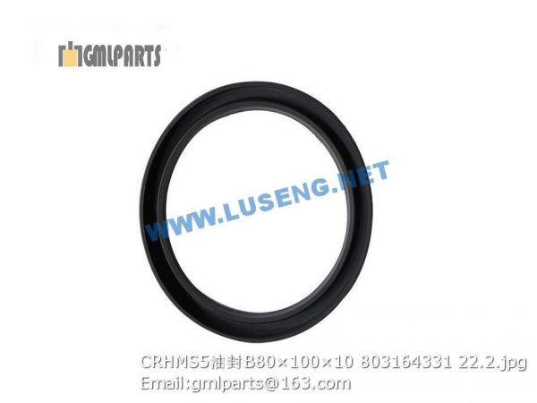 ,803164331 CRHMS5 OIL SEAL B80×100×10