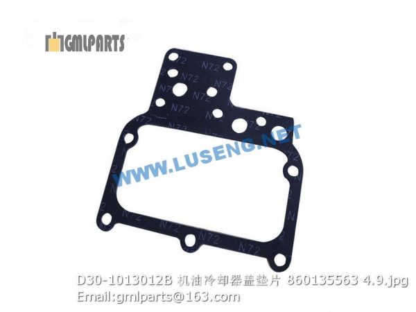 ,860135563 D30-1013012B GASKET 4110000560175