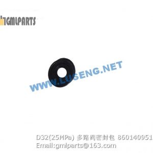 ,860140951 D32 25MPa VALVE REPAIR KITS