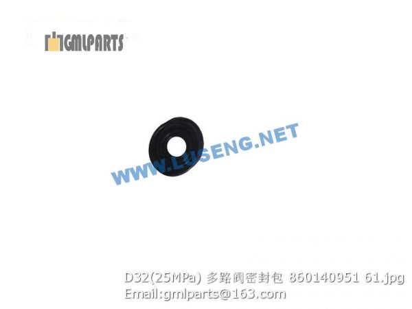 ,860140951 D32 25MPa VALVE REPAIR KITS