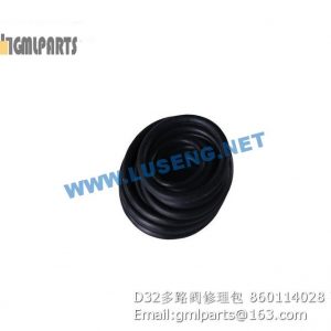 ,860114028 D32 VALVE REPAIR KITS