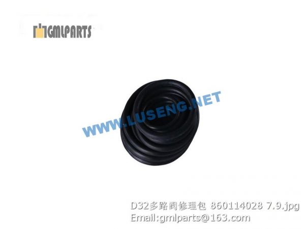,860114028 D32 VALVE REPAIR KITS