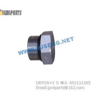 ,803131395 DEM30×2 O PLUG
