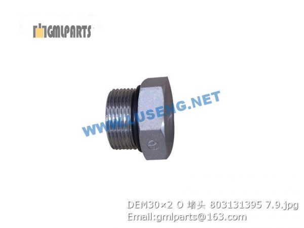 ,803131395 DEM30×2 O PLUG