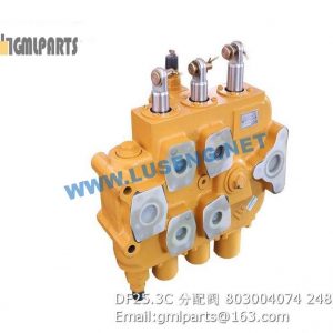 ,803004074 DF25.3C Valve