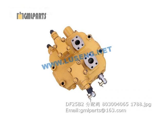 ,803004065 DF25B2 CONTROL VALVE