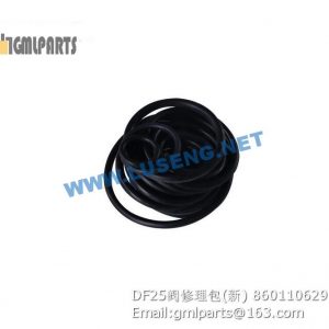,860110629 DF25 VALVE REPAIR KITS