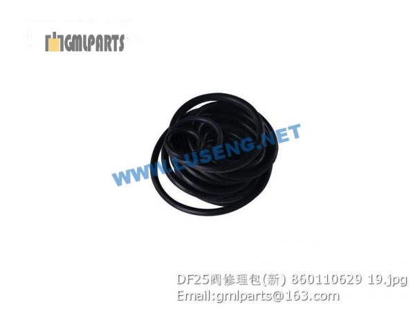 ,860110629 DF25 VALVE REPAIR KITS