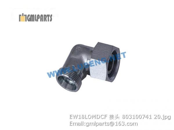 ,803100741 EW18LOMDCF joint