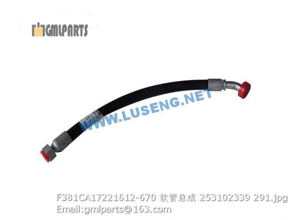 ,253102339 F381CA17221612-670 HOSE ASSY