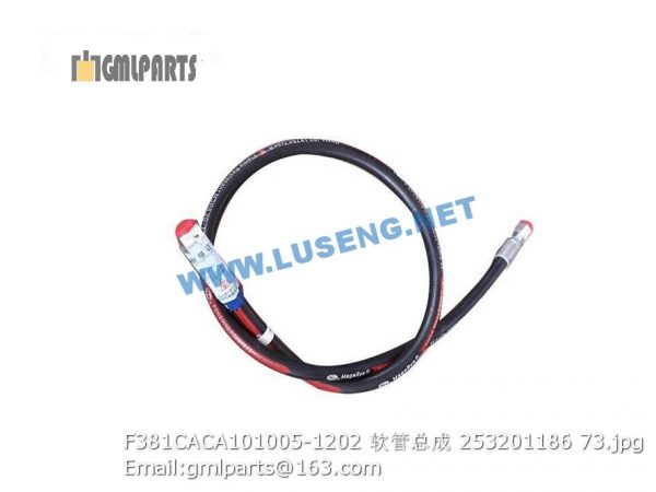 ,253201186 F381CACA101005-1202 HOSE XCMG