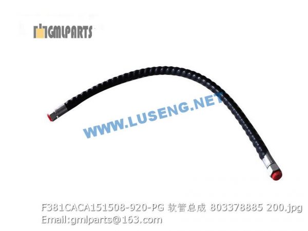 ,803378885 F381CACA151508-920-PG hose