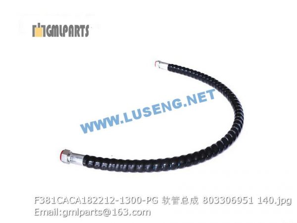 ,803306951 F381CACA182212-1300-PG HOSE