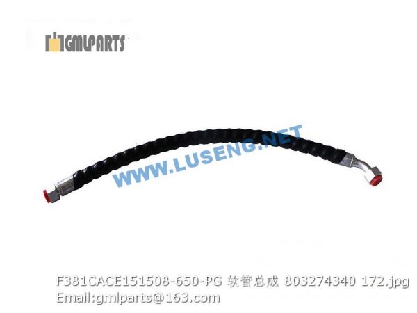 ,803274340 F381CACE151508-650-PG HOSE