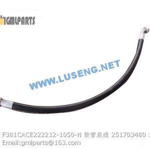 ,251703480 F381CACE222212-1050-N HOSE