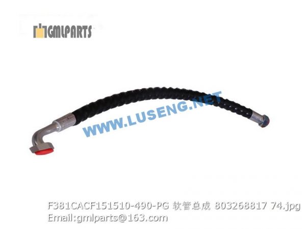 ,803268817 F381CACF151510-490-PG HOSE