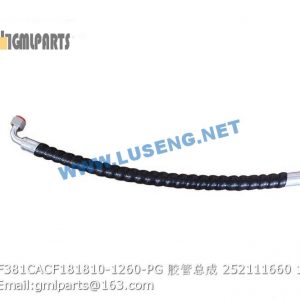 ,252111660 F381CACF181810-1260-PG HOSE