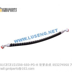 ,803274968 F381CECE151508-660-PG-N HOSE