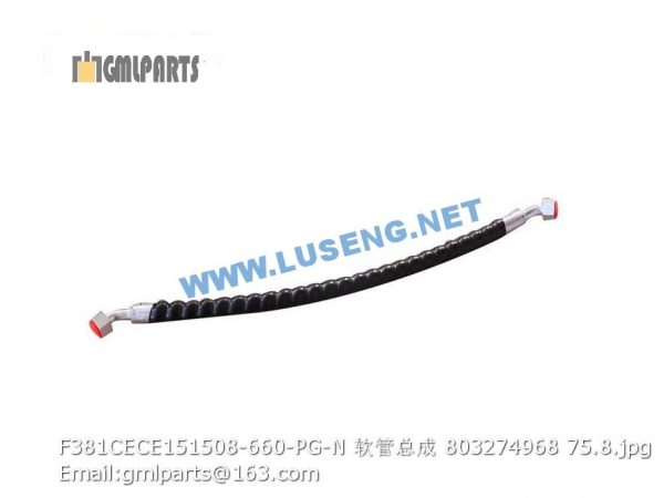 ,803274968 F381CECE151508-660-PG-N HOSE