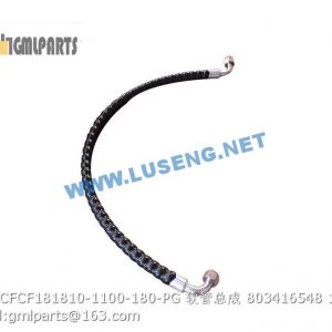 ,803416548 F381CFCF181810-1100-180-PG HOSE