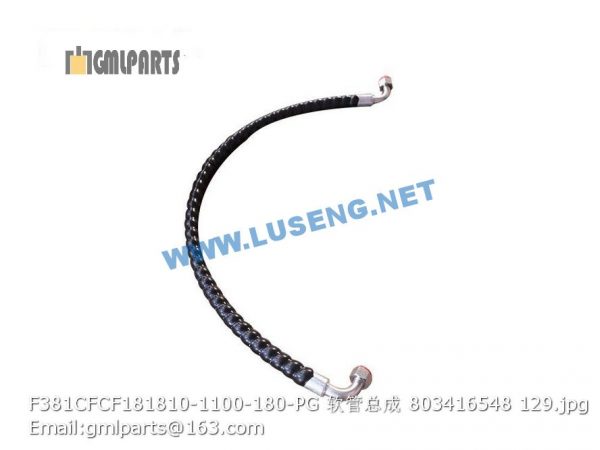 ,803416548 F381CFCF181810-1100-180-PG HOSE