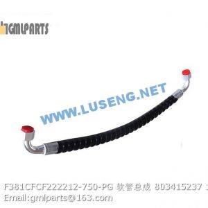 ,803415237 F381CFCF222212-750-PG HOSE XCMG