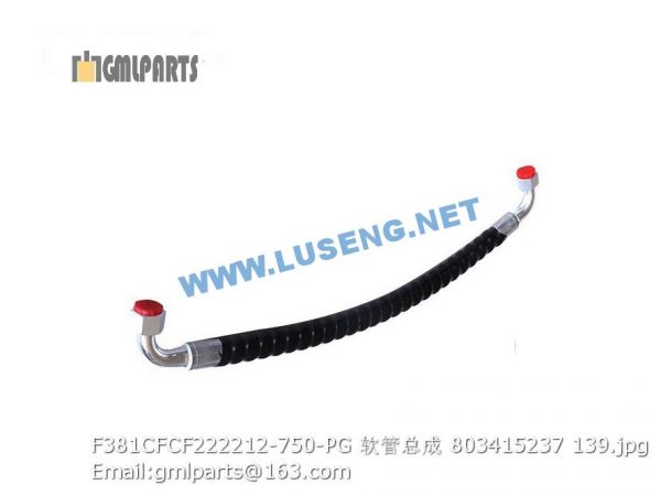 ,803415237 F381CFCF222212-750-PG HOSE XCMG