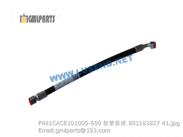 ,803183827 F481CACE101005-600 HOSE