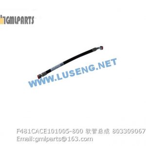 ,803309067 F481CACE101005-800 HOSE
