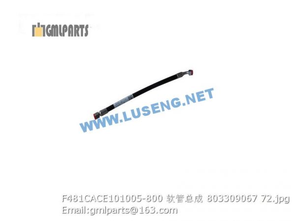 ,803309067 F481CACE101005-800 HOSE